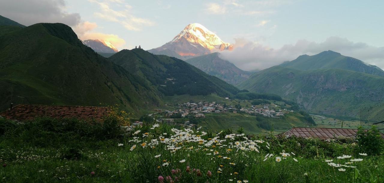 Aronia Kazbegi 호텔 외부 사진